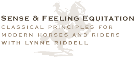 Sense & Feeling Equitation - Classical Principles for Modern Hosers and Riders with lynne Riddell